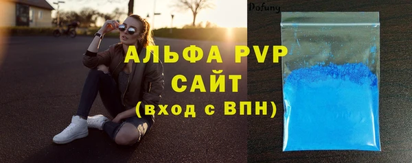 сатива Аркадак