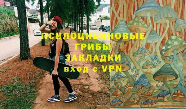 дживик Баксан