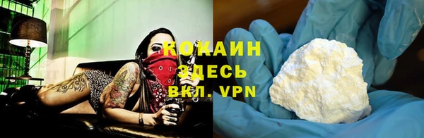 дживик Баксан