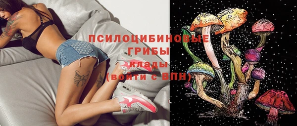 дживик Баксан
